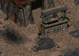 Fo1 Iguana Bob Frazier