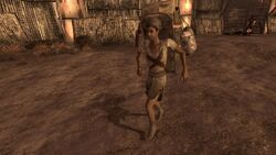 Slave (Fallout: New Vegas), Fallout Wiki