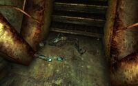 As found in Vault 22