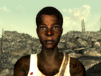 FO3Wasteland doctor10