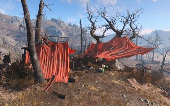 FO4NW External 73