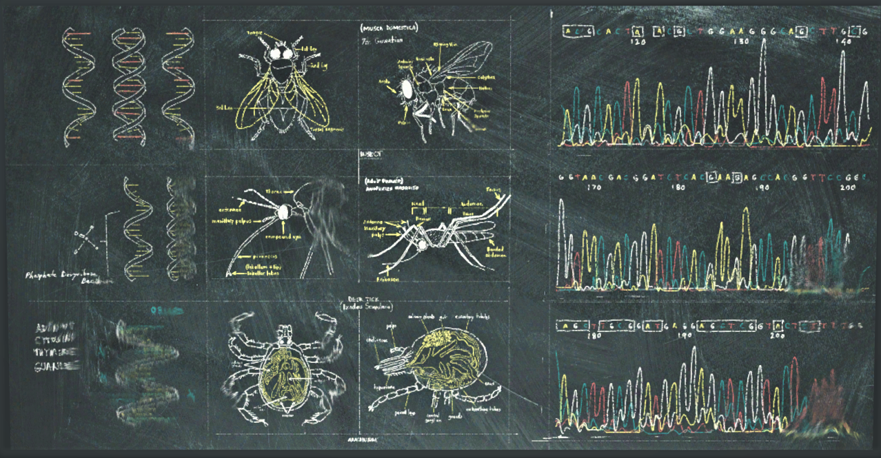 Fallout 4: Nuka-World Fallout: New Vegas Insect Fallout 3 Cave crickets,  insect, animals, fallout Wiki png