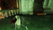 Skeleton in the Palace of the Winding Path