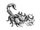 Radscorpion.jpg