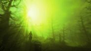 FO4FH Visions in the Fog Light