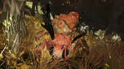 Raging Honey Beast.png