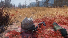 Rich Taylor's testament