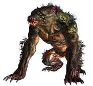 Yao guai en Fallout 3, Point Lookout y Honest Hearts