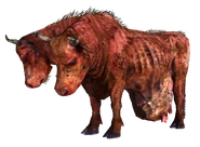 Brahmin em Fallout 3 e Fallout: New Vegas