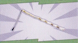 FBGNC bobby pin