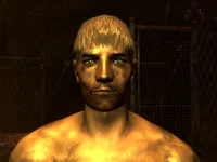 FO3TPSlaveFighter2.png (557 KB)