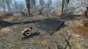 FO4 Lynn Woods2