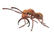 FO76 Radant render.png