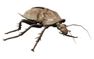 Radcafard FO4.png (209 kio) Un radcafard dans Fallout 4