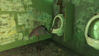 FO4 Urinal Flamingo