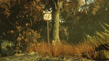 FO76 Highway 66 Appal
