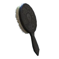 Fancy Hairbrush