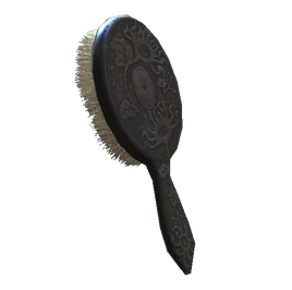Fancy Hairbrush
