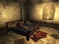 FO3SusanToBedWithDashwood - Friday.png (734 KB) Herbert visited bed with Susan Lancaster on Friday.