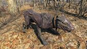 FO4 Alpha rabid mongrel