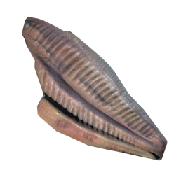 FO76 Angler meat