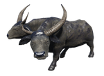 BrahmiluffLonghorn-NukaWorld