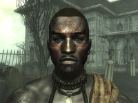 FO3PLTribal1.png (703 KB) Possible male tribal