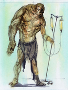 Fo3 Mutated Dad Concept 6