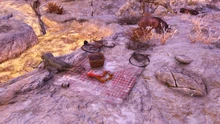FO76WA Picnic Panic picnic site.png (3.93 MB) The picnic site