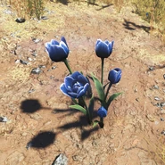 Хрустальница