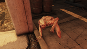 FO76 Trog