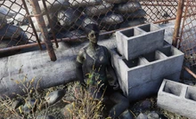 Молодая женщина