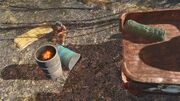 FO4 Mass Fusion containment shed4.jpg