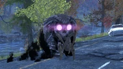 FO76 Wise Mothman (random)