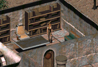 In-game Tandi in Fallout 2