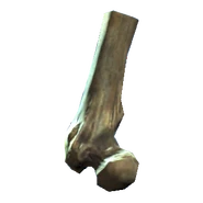 Broken femur.png (49 KB) Broken femur