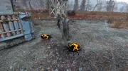FO76 Ticks vs Settlers