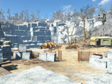 Thicket Excavations