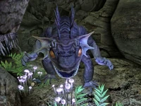 Legendary fire gecko