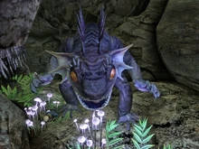 Legendary fire gecko (just knocked over the evil gnome)