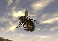 Bloatflyfnv.png (124 КБ)