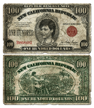 FNV $100 bill