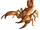 Древесный скорпион