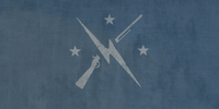 Minuteman flag