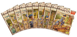 Scouts' Life collage