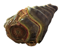 Stingwing meat.png
