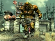 Бегемот у Такома парк