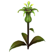 Зелёный захватчик