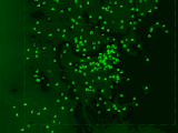Localidades do Fallout 4
