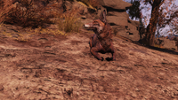 FO76 Curious boi.png (3.38 MB) Curious fox